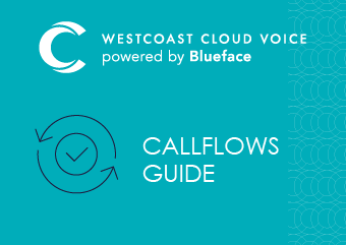 CALLFLOWS GUIDE
