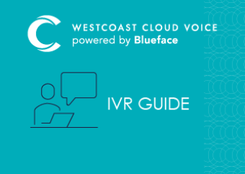 IVR GUIDE
